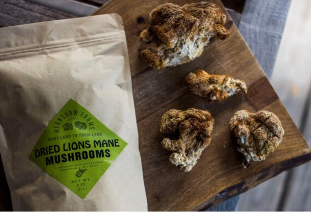 How to Use Dried Lion’s Mane Mushrooms (Ultimate Guide)