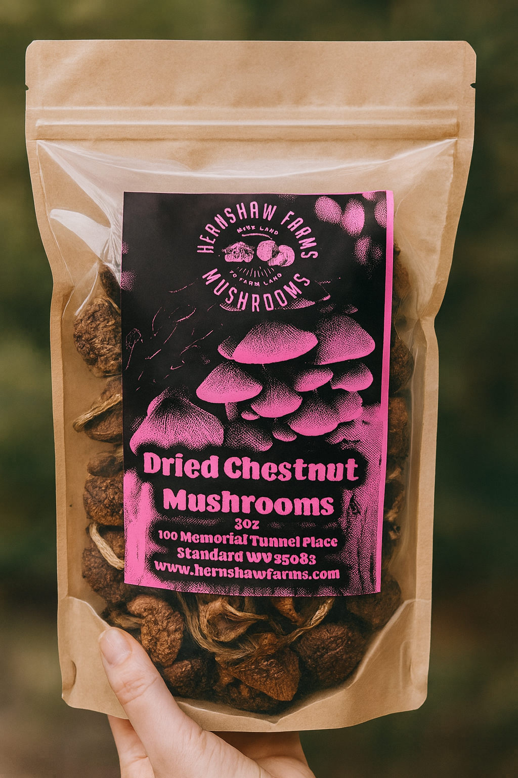Dried Chestnut Mushrooms