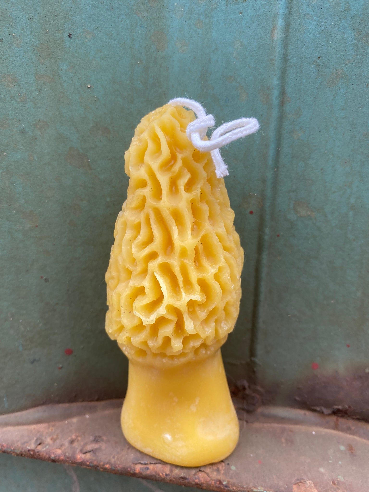 Morel Mushroom Candle
