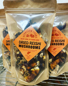 Dried Reishi Mushrooms