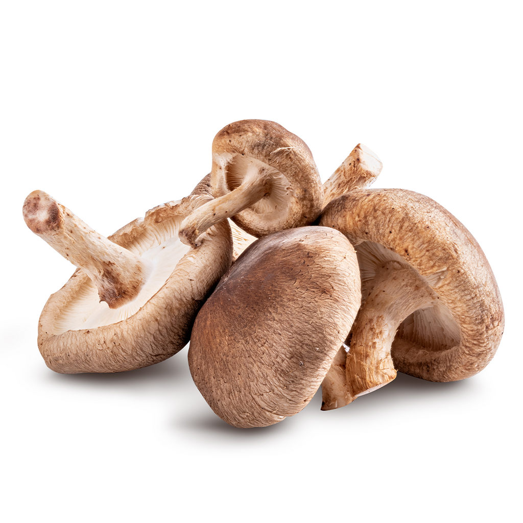 Shiitake Mushrooms grown at Charlotte's Farms